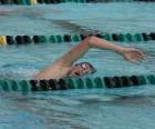 Plavec cvičí kraul v pruhu soutěže bazénu