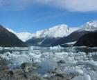 Ledovec Onelli, Argentina