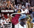 Miami Heat 2012 NBA mistr