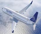 Copa Airlines je mezinárodní letecká společnost Panamy