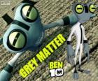 Grey Matter, Ben 10