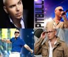 Pitbull (Armando Christian Perez), je hudební producent kubánského původu