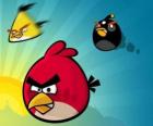 Tři z ptáků z Angry Birds