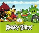 Ptáci, vejce a zelená prasata v Angry Birds