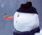 Sněhulák s ptákem na nos