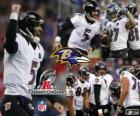 Baltimore Ravens 2012 AFC champion