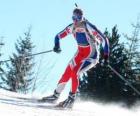 Lyžař v plné úsilí v praxi běžky nebo severské lyžování