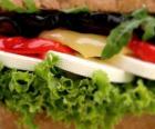 Vegetariánským sendvičem