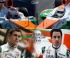 Sahara Force India F1 Team 2013