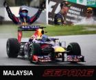 Sebastian Vettel slaví vítězství v Grand Prix Malajsie 2013