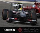 Esteban Gutierrez - Sauber - 2013 Sakhir