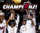 Miami Heat 2013 NBA mistr