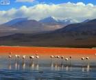 Laguna Colorada, Bolívie