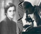 Rosalind Franklinová (1920-1958), průkopníkem v oblasti výzkumu DNA