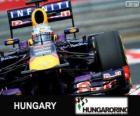 Sebastian Vettel - Red Bull - Grand Prix Maďarska 2013, 3 klasifikované