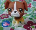 Štěně od Littlest PetShop