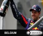Sebastian Vettel slaví vítězství v Grand Prix Belgie 2013