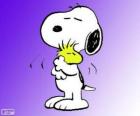 Snoopy a Woodstock