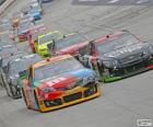 NASCAR Sprint Cup Series