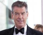 Pierce Brosnan