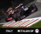 Daniel RICCIARDI - Toro Rosso - Monza, 2013