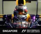 Sebastian Vettel slaví vítězství v Grand Prix Singapuru 2013