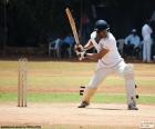 Kriket batsman