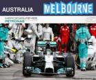 Nico Rosberg slaví vítězství v Grand Prix Austrálie 2014
