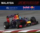 Sebastian Vettel - Red Bull - Grand Prix Malajsie 2014, 3 klasifikované