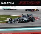 Nico Rosberg - Mercedes - Grand Prix Malajsie 2014, svírající klasifikované