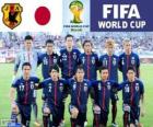 Výběr z Japonska, skupina C, Brazílie 2014
