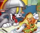 Tom a Jerry v jiném jejich konfliktů