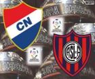 Klub Nacional Paraguay vs San Lorenzo de Almagro Argentiny. Finále Copa Libertadores 2014