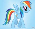 Rainbow Dash, Pegas pony s ocáskem rainbow