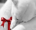 Lední medvěd s dárkem