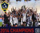 Los Angeles Galaxy, šampion MLS 2014