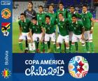 Bolívie Copa America 2015