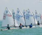 Optimist regatta