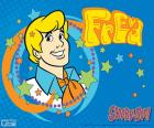 Fred Jones Scooby-Doo, vysoký, silný, svalnatý a blond vlasy