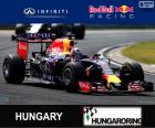 Daniel Ricciardo Grand Prix Maďarska 2015