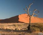 Poušť Namib, Namibie