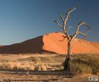 Poušť Namib je považován za nejstarší poušť na světě, se táhne podél pobřeží Namibie, Afrika. Světového kulturního dědictví UNESCO od roku 2013