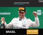 Nico Rosberg slaví vítězství v Grand Prix Brazílie 2015