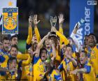 Tigres UANL, mistr Mexiko 2015