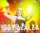 Iggy azalka