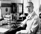 Karl Landsteiner (1868-1943), byl rakouský a americký biolog a fyzik. On objevil krevních skupin. Mu byla udělena Nobelova cena za fyziologii a medicínu v roce 1930