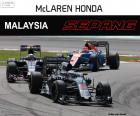 Fernando Alonso, Grand Prix Malajsie 2016