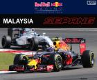 M.Verstappen, Grand Prix Malajsie 2016
