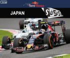Carlos Sainz Jr., Grand Prix Japonska 2016