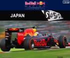 Max Verstappen, Grand Prix Japonska 2016